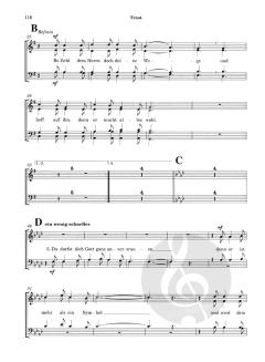 Resonanz - Das große Chorbuch für gemischte Chöre (Klaus Heizmann) 