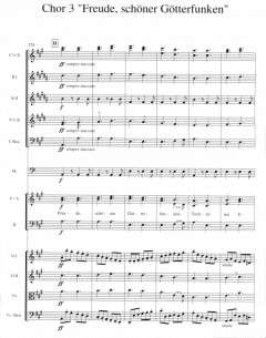 Ode an die Freude (Ludwig van Beethoven) 
