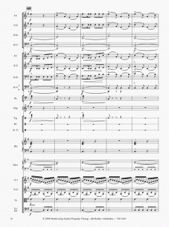 Die Moldau von Bedrich Smetana 