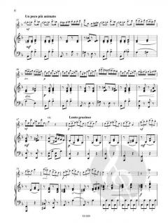 Russisches Zigeunerlied d-Moll op. 462/2 von Wilhelm Popp 