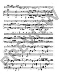 Concertino Nr. 3 e-Moll von Jean-Baptiste Accolay 
