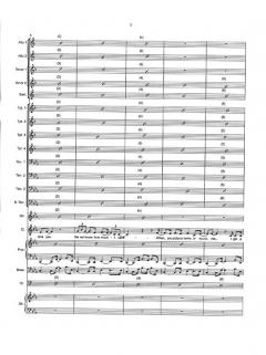 Fever (Michael Bublé) 