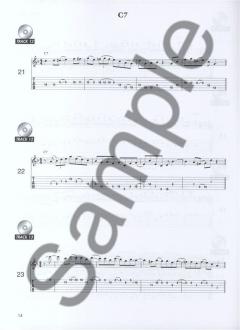 150 Hot Jazz Licks In Tab von Toby Wine 