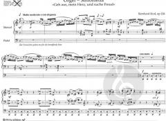 Orgel-Sinfonietta von Bernhard Krol im Alle Noten Shop kaufen (Partitur)