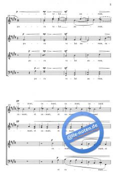 Lux Aurumque (Eric Whitacre) 