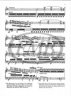 Vallée d'Obermann von Franz Liszt 