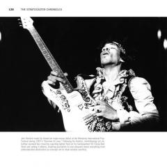 The Stratocaster Chronicles (Tom Wheeler) 
