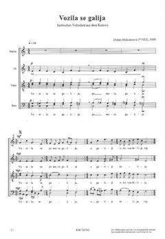 Vozila se galija (Dusan Maksimovic) 