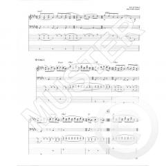 Joyland von Andy McKee 