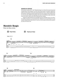 Roots And Blues Mandolin von Steve James im Alle Noten Shop kaufen