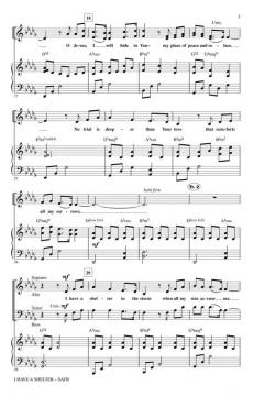 I Have A Shelter von Steve Cook (Download) 