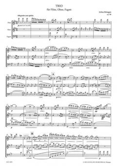 Introduction et Polonaise Op. 30 (Jules Demersseman) 