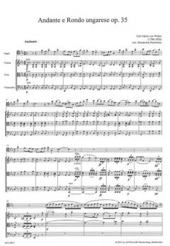 Andante und Rondo Ungarese Op. 35 (Carl Maria von Weber) 