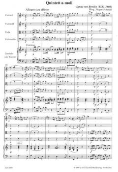 Quintett A-Moll (Ignaz von Beecke) 