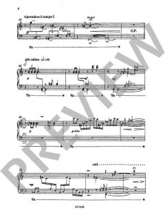 Anathesis und Dithyrambus WV 47 von Markus Lehmann für Zymbal solo