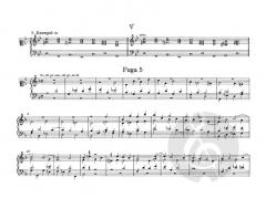 Orgelwerke Band 2 von Georg Philipp Telemann im Alle Noten Shop kaufen