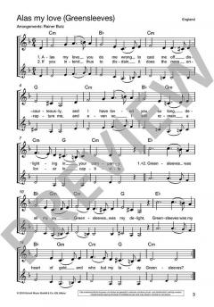 Die schönsten Folksongs 