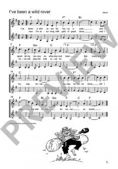 Die schönsten Folksongs 