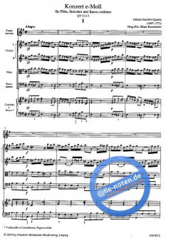 Konzert e-Moll QV5:113 (Johann Joachim Quantz) 