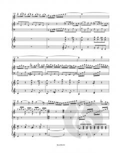 Konzert für Flöte, Harfe und Orchester KV 299(297c) (W.A. Mozart) 