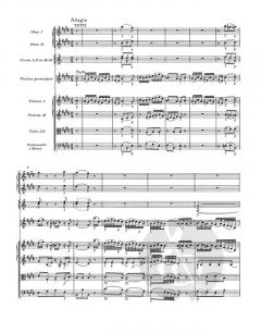 Konzert für Violine und Orchester KV 219 von Wolfgang Amadeus Mozart 