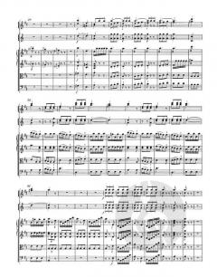 Sinfonie D-Dur KV 196/121(207a) von Wolfgang Amadeus Mozart 