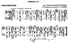 Hoamatg'sang (Oberösterreichische Landeshymne) 