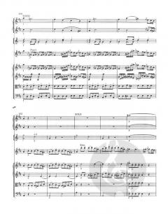 Violinkonzert Nr. 4 D-Dur KV 218 von Wolfgang Amadeus Mozart 