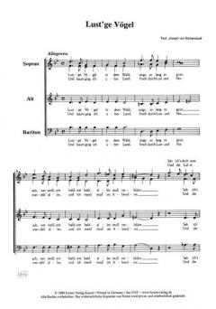 Weltliche a-cappella Chöre von 1846 Vol. 4 (Fanny Hensel) 