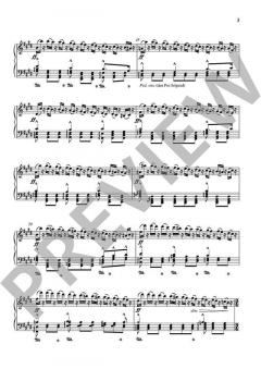 Tannhäuser und der Sängerkrieg auf Wartburg WWV 70 von Richard Wagner 