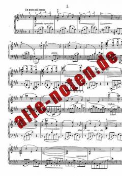 Wege zu Franz Liszt 