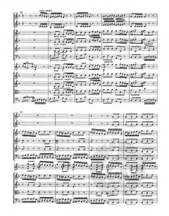 Brandenburgisches Konzert Nr. 1 BWV 1046 (J.S. Bach) 