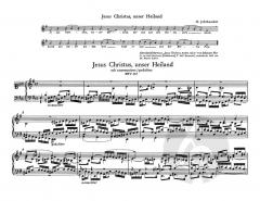 Orgelwerke Band 2 von Johann Sebastian Bach im Alle Noten Shop kaufen - BA5172