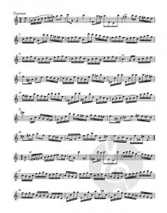 Partita in a-Moll BWV 1013 für Flöte solo von Johann Sebastian Bach (Download) 