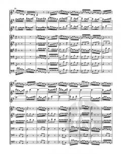 Brandenburgisches Konzert Nr. 4 BWV 1049 (J.S. Bach) 