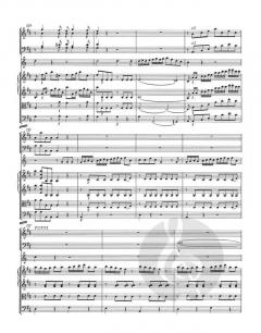 Konzert für Horn und Orchester KV 412+514(386b) von Wolfgang Amadeus Mozart 