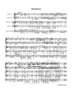 Missa brevis d-Moll KV 65 (61a) von Wolfgang Amadeus Mozart (Download) 