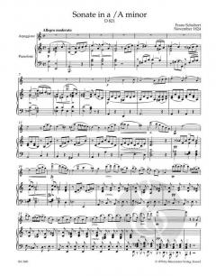 Sonate in a 'Arpeggione' D 821 von Franz Schubert 