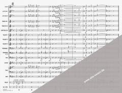 Hawaii Five-O Theme (Morton Stevens) 