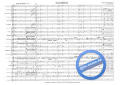 Zambezi (Nico Carstens) 