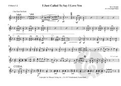 I Just Called To Say I Love You (Stevie Wonder) 