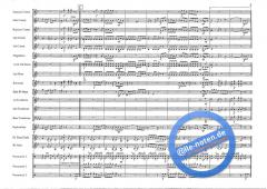 Basso Brazilio (Roy Newsome) 