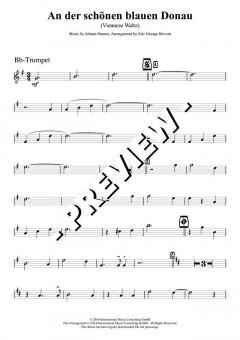 An der schönen blauen Donau - DOWNLOAD von Johann Strauss (Sohn) (Download) 