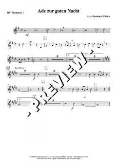Ade zur guten Nacht - DOWNLOAD (Download) 