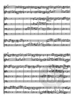 Brandenburgisches Konzert Nr. 5 BWV 1050 (J.S. Bach) 