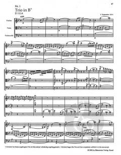 Sämtliche Streichtrios von Franz Schubert im Alle Noten Shop kaufen - TP306