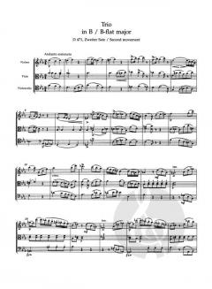 Sämtliche Streichtrios von Franz Schubert im Alle Noten Shop kaufen - TP306
