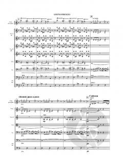 Las Cuatro Estaciones Portenas von Astor Piazzolla 