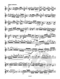 Concertino in ungarischer Weise a-Moll op. 21 von Oskar Rieding 