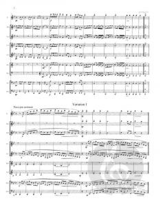 Variations On A Theme Of Haydn (Johannes Brahms) 